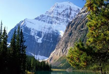 北单足球官网首页该怎么理解和使用？